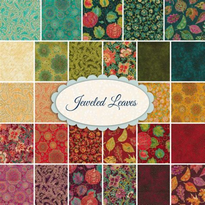 Robert Kaufman Biography, Age, Height, Wife, Net Worth, Family