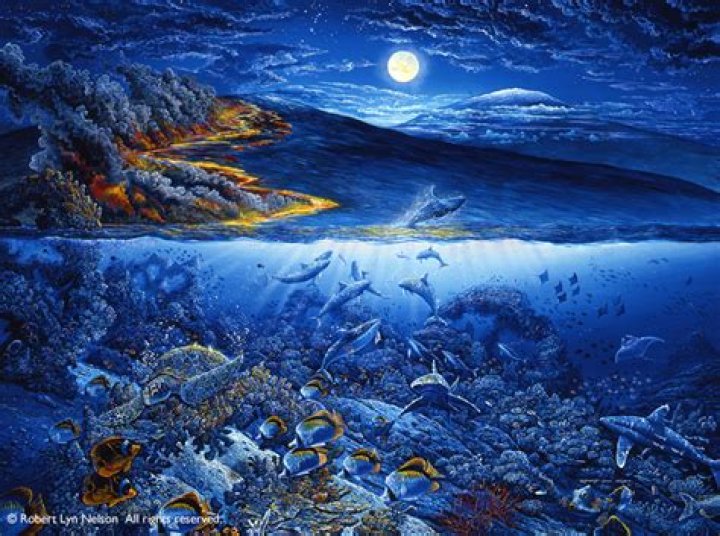 Robert Lyn Nelson Biography, Age, Height, Wife, Net Worth, Family