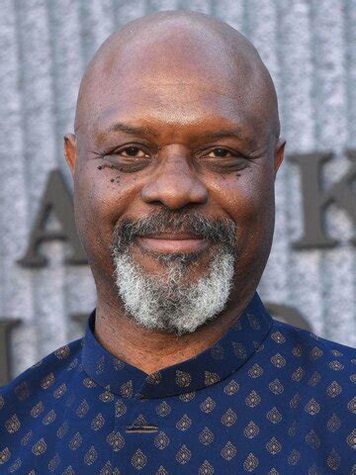 Robert Wisdom biografía, edad, altura, esposo, net worth, familia