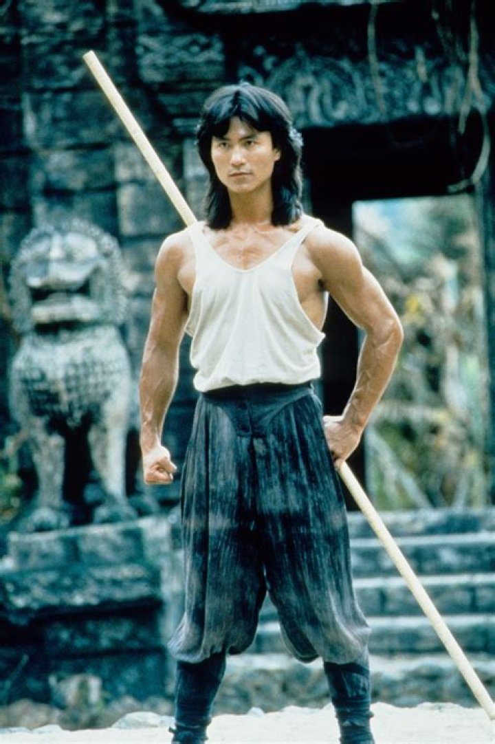 Robin Shou Biography, Age, Height, Wife, Net Worth, Family