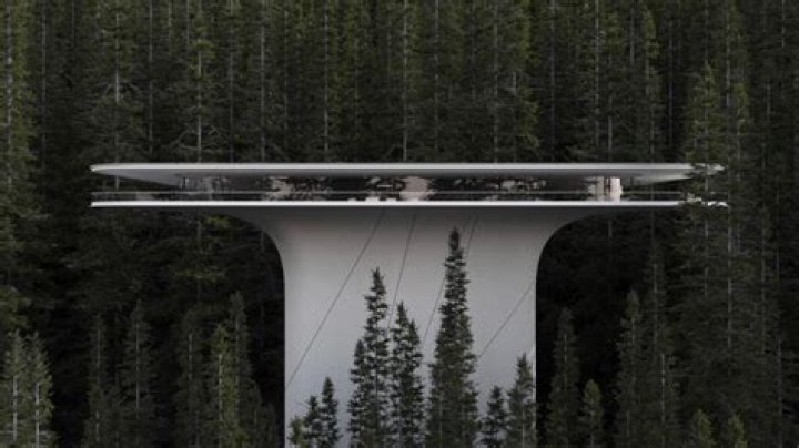 Roman Vlasov Biography, Age, Height, Wife, Net Worth, Family