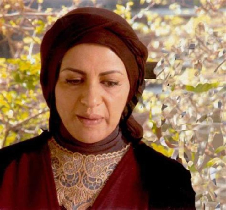 Roya Teymourian Biography, Age, Height, Net Worth, Family