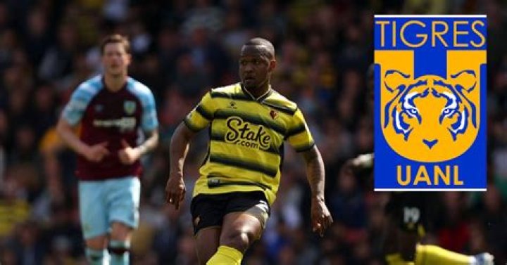 Samir Santos Biography, Age, Height, Wife, Net Worth, Family