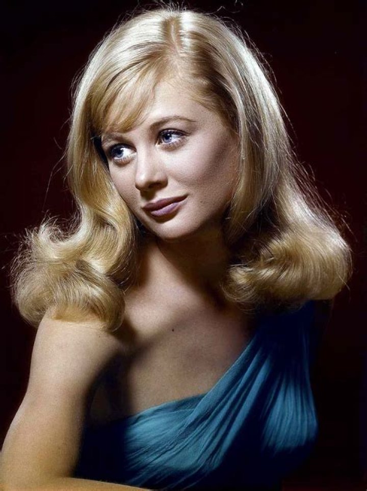 Shirley Knight biografía, edad, altura, esposa, net worth, familia