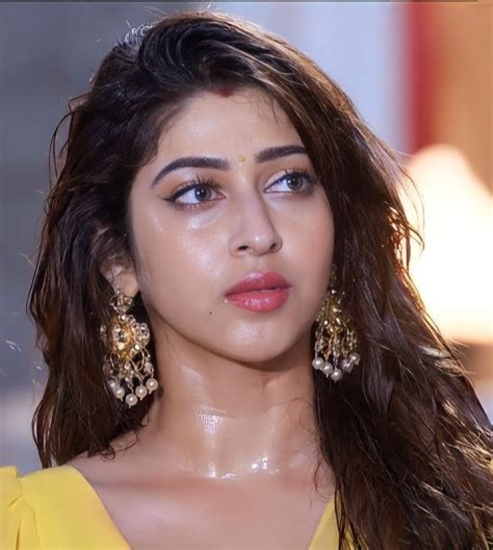 Sonarika Bhadoria Biography, Age, Height, Husband, Net Worth, Family