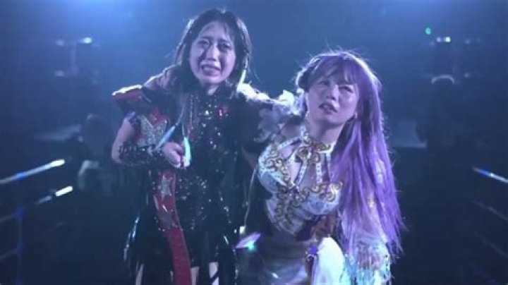 Tam Nakano Biography, Age, Height, Husband, Net Worth, Family