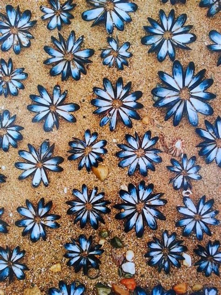 Tim Pugh Biography, Age, Height, Wife, Net Worth, Family