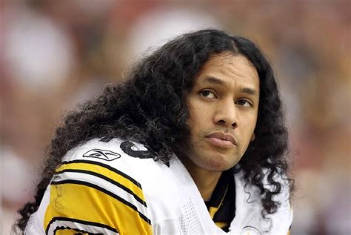 Troy Polamalu Biography, Age, Height, Wife, Net Worth, Family