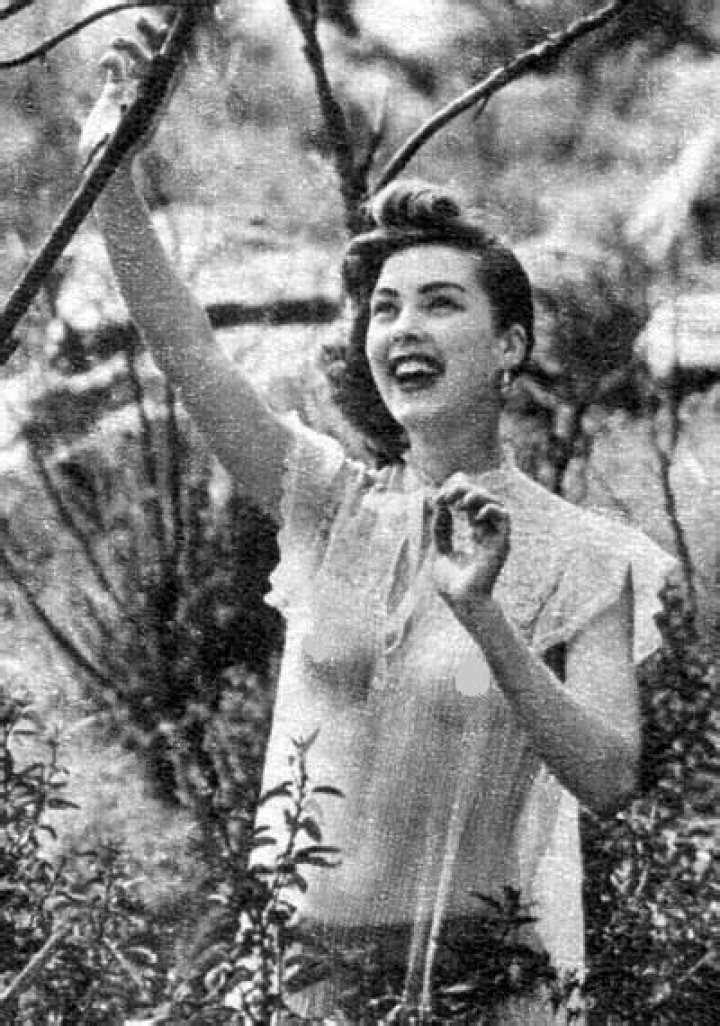 Virginia De Lee Biography, Age, Height, Husband, Net Worth, Family