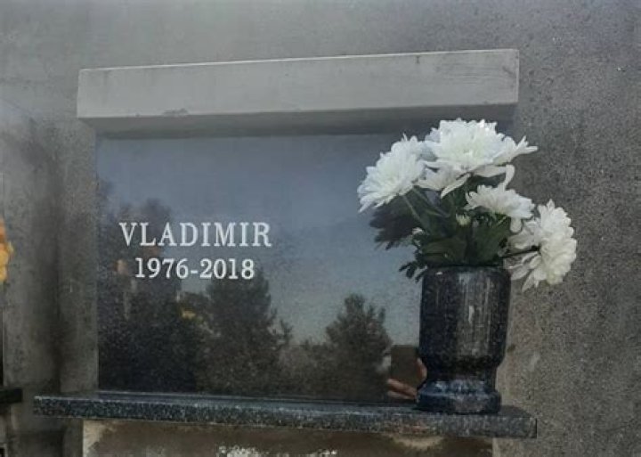 Vladimir Cvijan Biography, Age, Height, Wife, Net Worth, Family