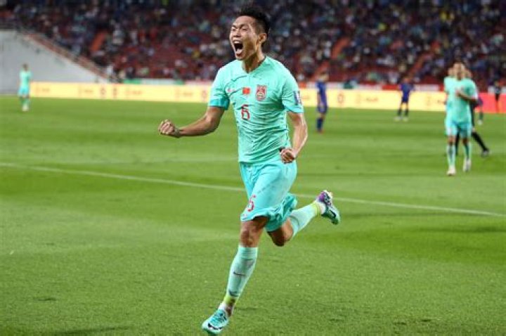 Wang Sheng Biography, Age, Height, Wife, Net Worth, Family