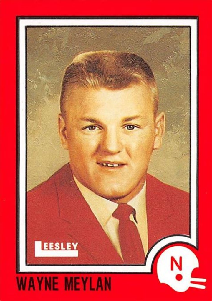 Wayne Meylan Biography, Age, Height, Wife, Net Worth and Family