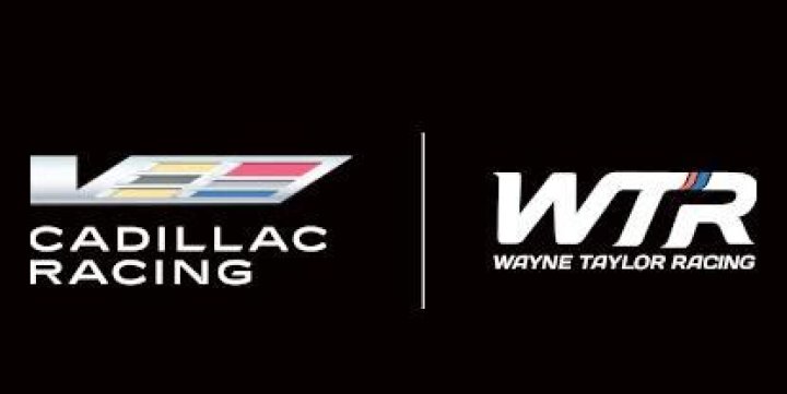 Wayne Taylor Biography, Age, Height, Wife, Net Worth, Family