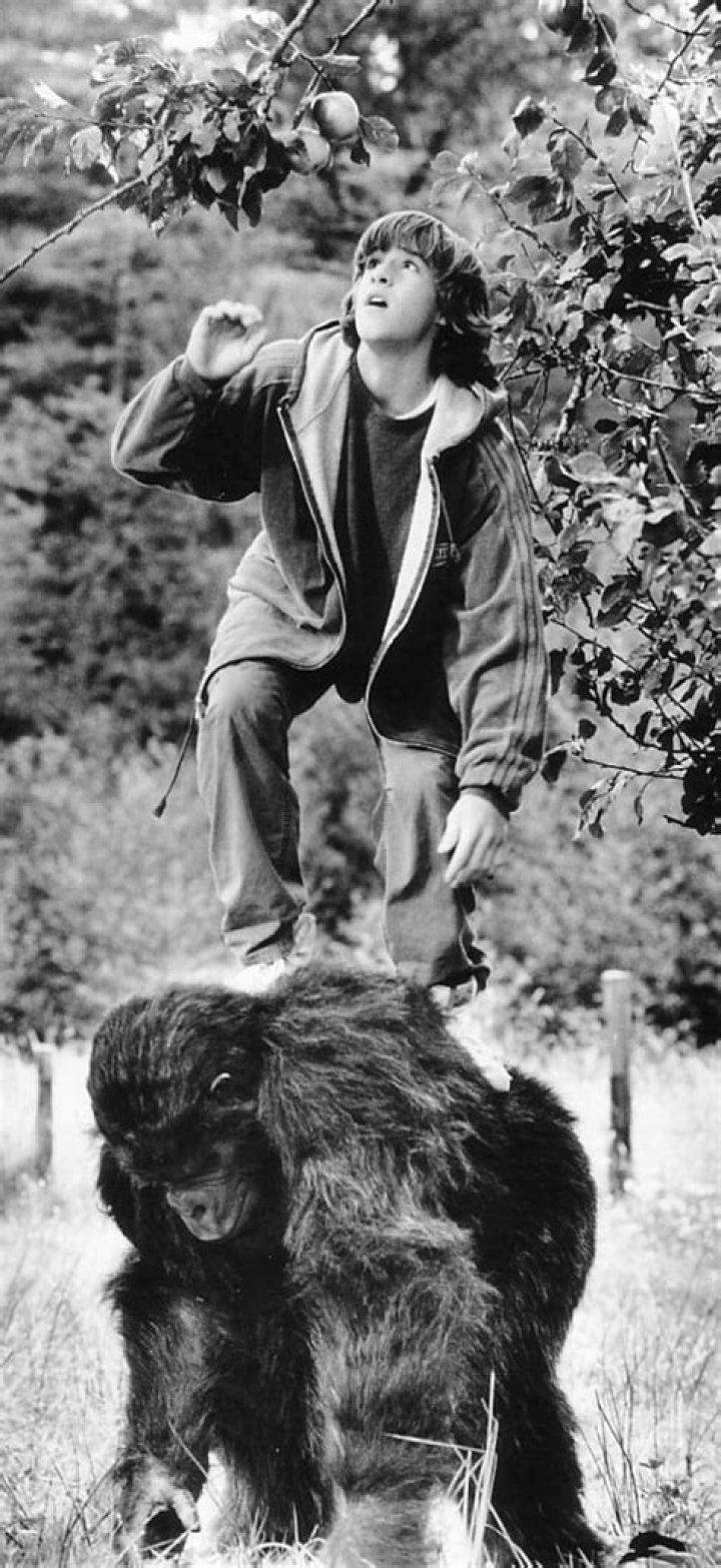 Wil Horneff Biography, Age, Height, Wife, Net Worth, Family