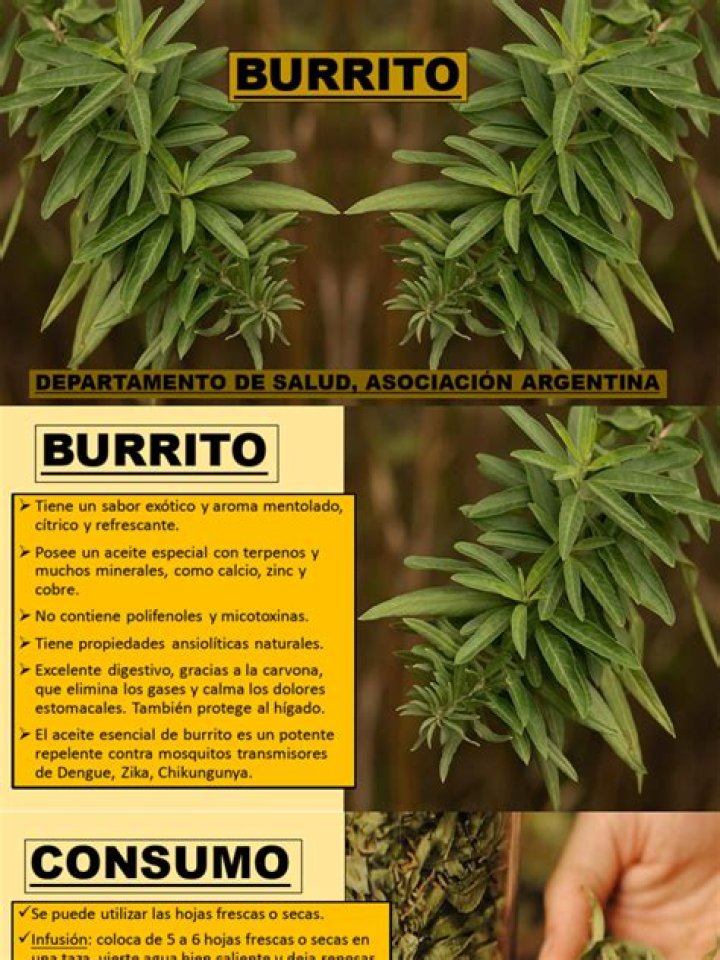 Yani Ignatov Biography, Age, Height, Wife, Net Worth, Family