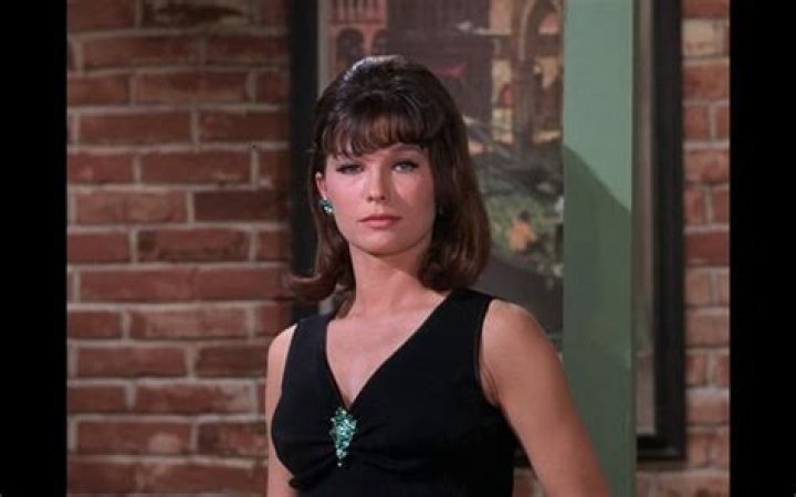 Yvonne Schubert Biography, Age, Height, Husband, Net Worth, Family