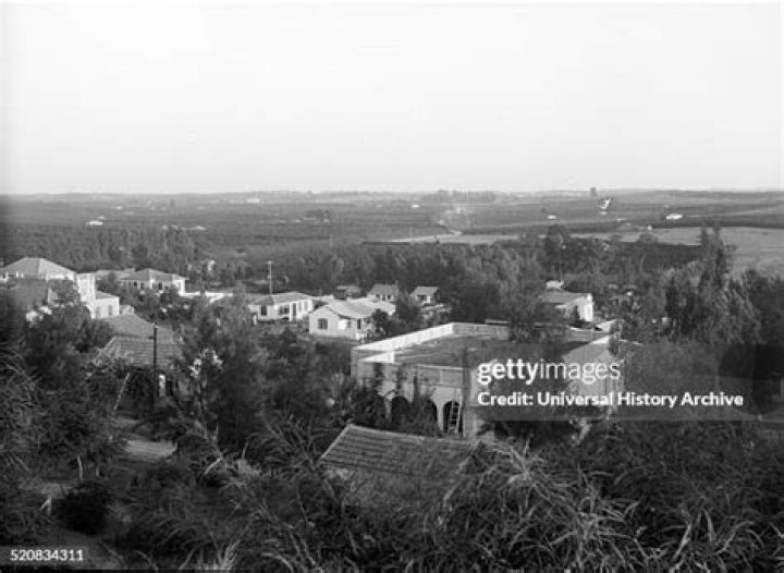 Ziona Biography, Age, Height, Wife, Net Worth and Family